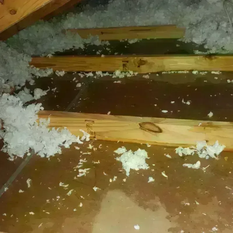 Attic Water Damage in Park County, WY