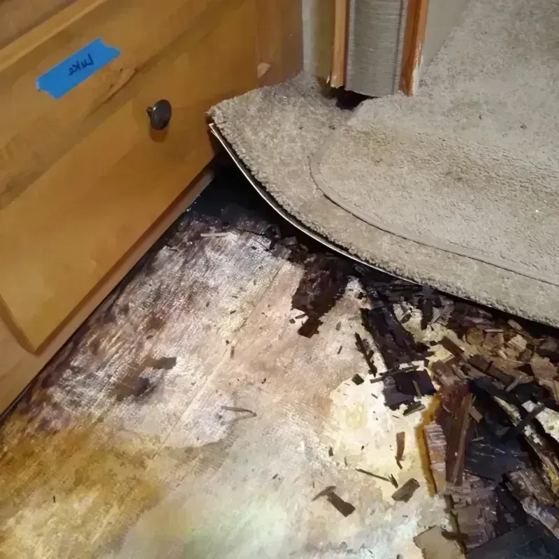 Wood Floor Water Damage in Park County, WY